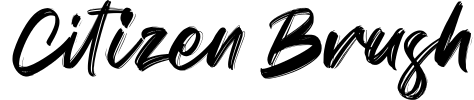 Citizen Brush