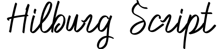 Hilburg Script