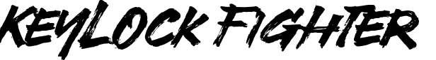 Keylock Fighter