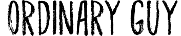 Ordinary Guy