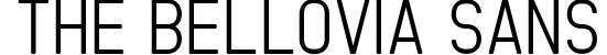 The Bellovia Sans