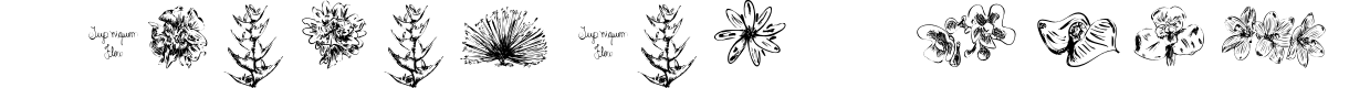 Tupiniquim Flora