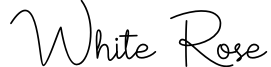 White Rose