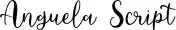 Anguela Script