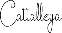 Cattalleya