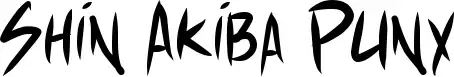Shin Akiba Punx