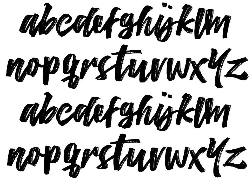 The Conquerfont specimens